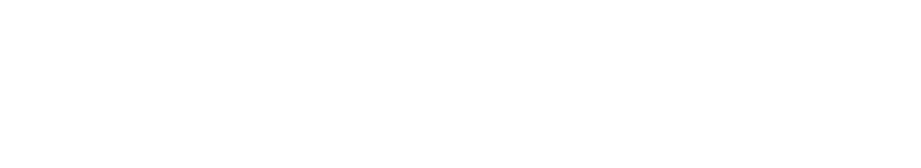 Reyna Pay Platform